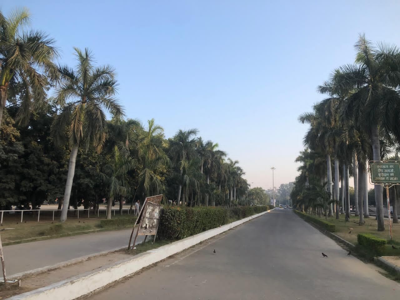 Panjab University Chandigarh Campus photo 7